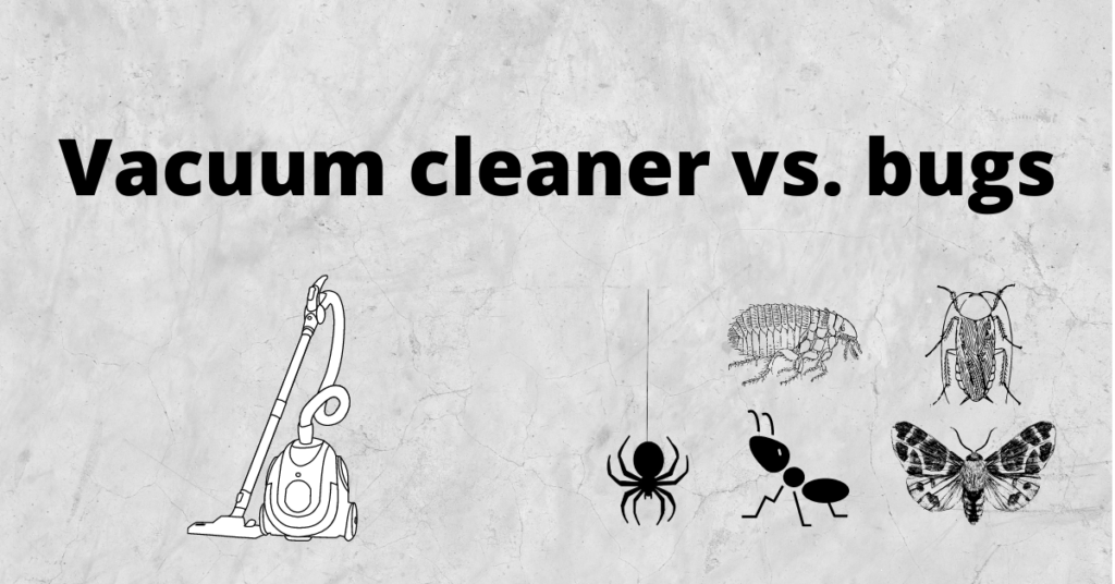 Vacuum cleaner and bugs