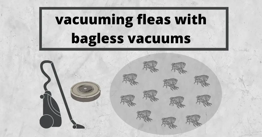 illustration of bagless vacuum cleaners next to the flea infestation