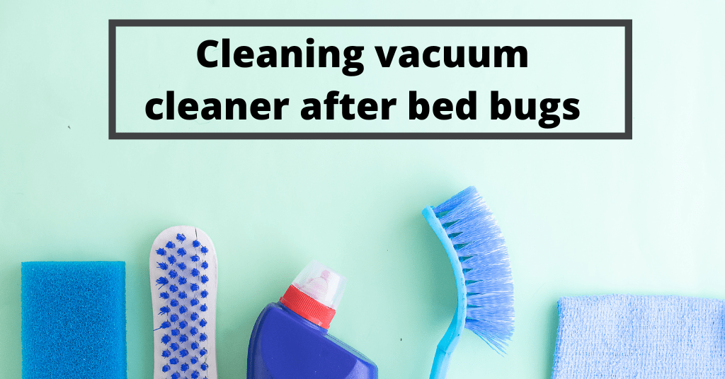 How to clean your vacuum after dealing with bed bugs? Cleanerd