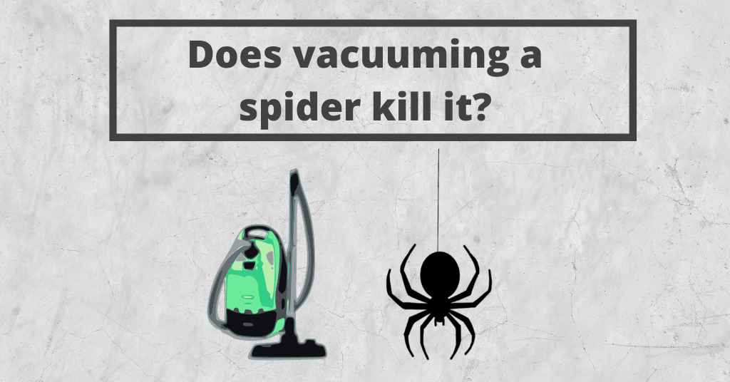 icons of vacuum cleaner and a hanging spider