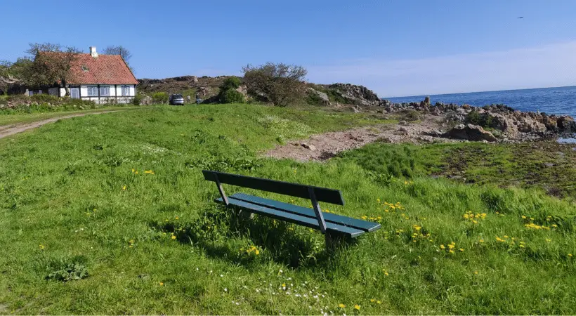 Bench in the green field on a sunny day